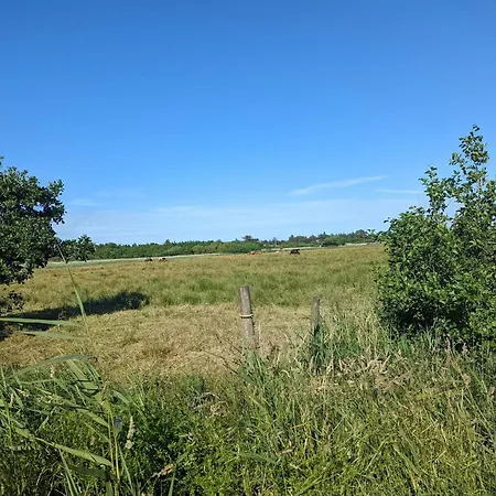 Secluded Retreat In - By Traum Σπίτι διακοπών *